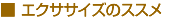 �G�N�T�T�C�Y�̃X�X��